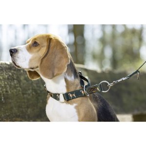 HKM Hundehalsband -Beagle-