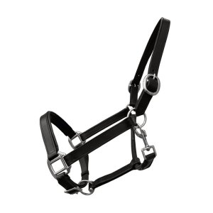 German Riding Lederhalfter Basic