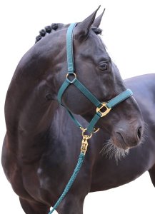 Covalliero Halfter TopLine
