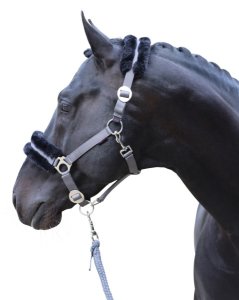 Covalliero Halfter ClassicSoft