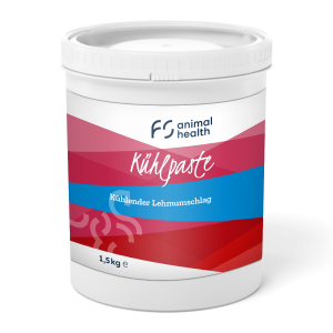FS Kühlpaste