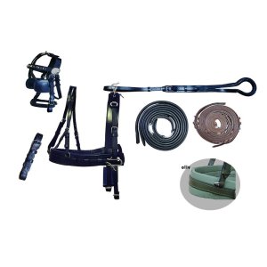German Riding Zweispännergeschirr Basic Plus Colour Shetty